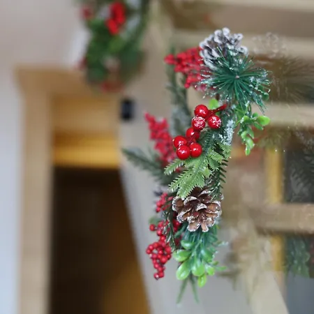 Za Wierchem Apartmán *