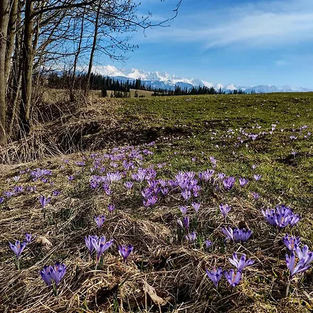 Za Wierchem Apartmán